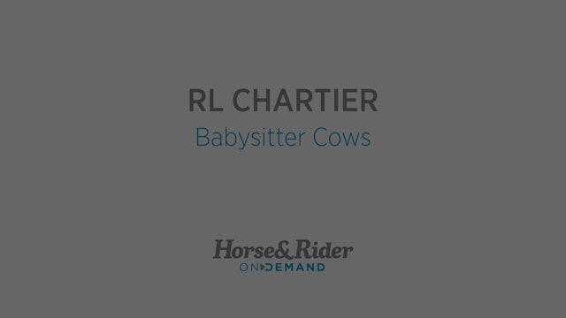 Babysitter Cows