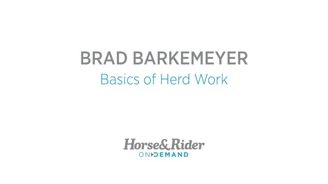 Basics of Herd Work