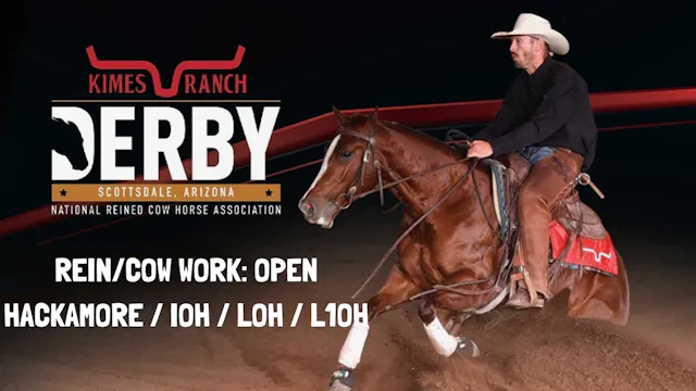 Rein/Cow Work: Open Hackamore / IOH /...
