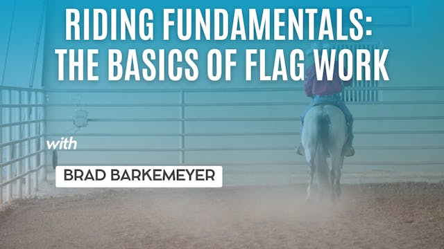 Riding Fundamentals: The Basics of Fl...