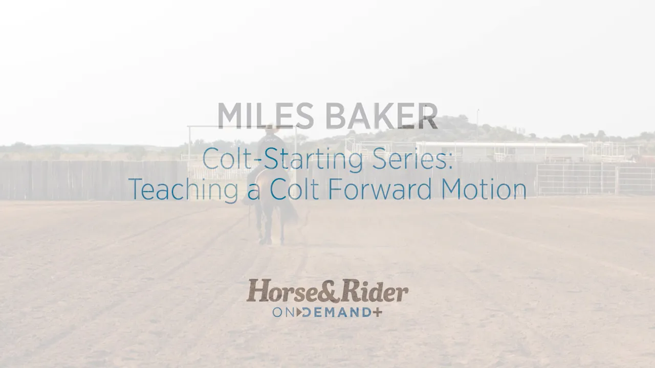 Colt-Starting Series: Teaching a Colt Forward Motion - RIDE TV