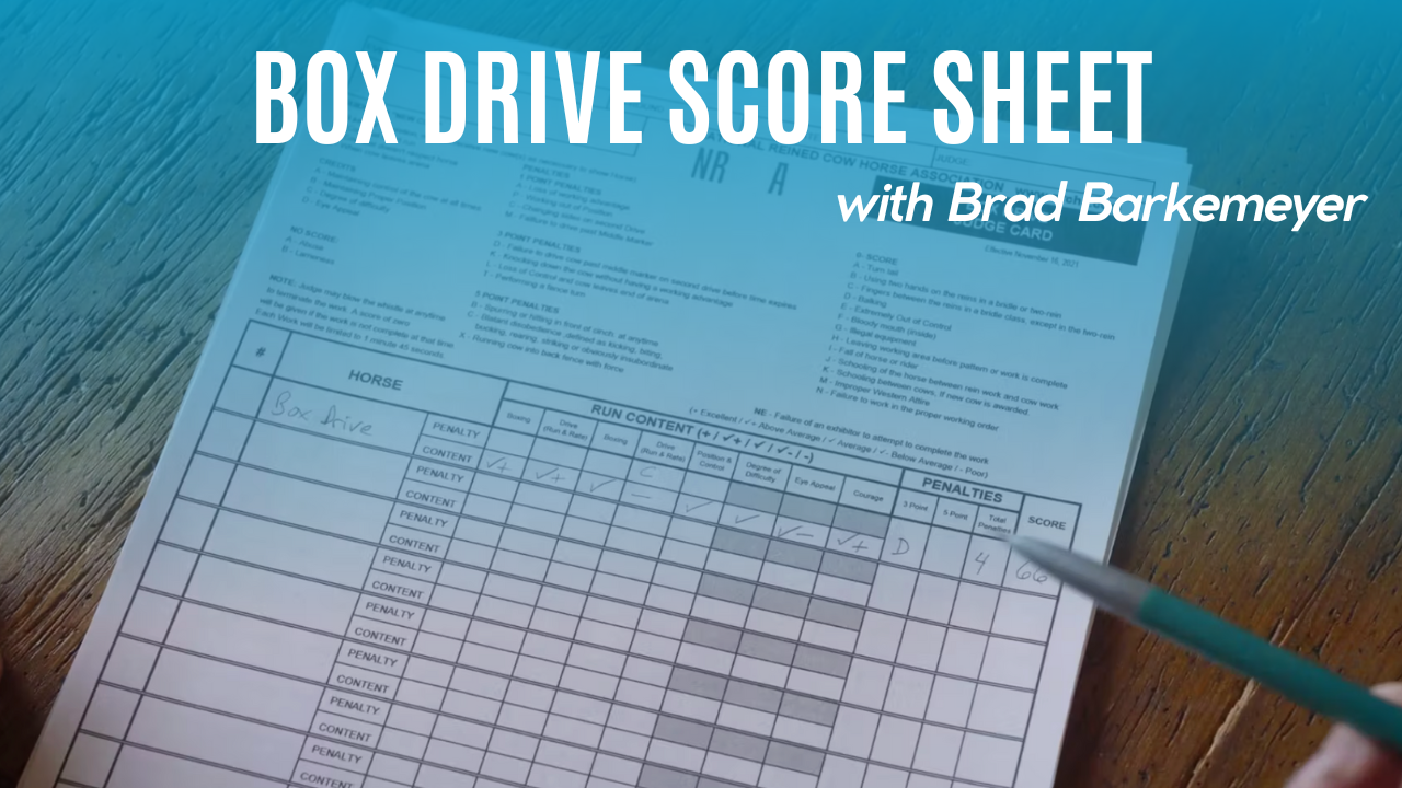 Box Drive Score Sheet