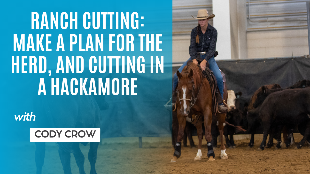 Ranch Cutting: Make a Plan for the Herd, and Cutting in a Hackamore
