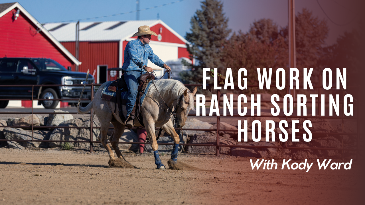 Flag Work on Ranch Sorting Horses