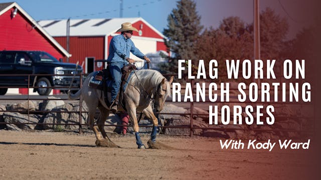 Flag Work on Ranch Sorting Horses