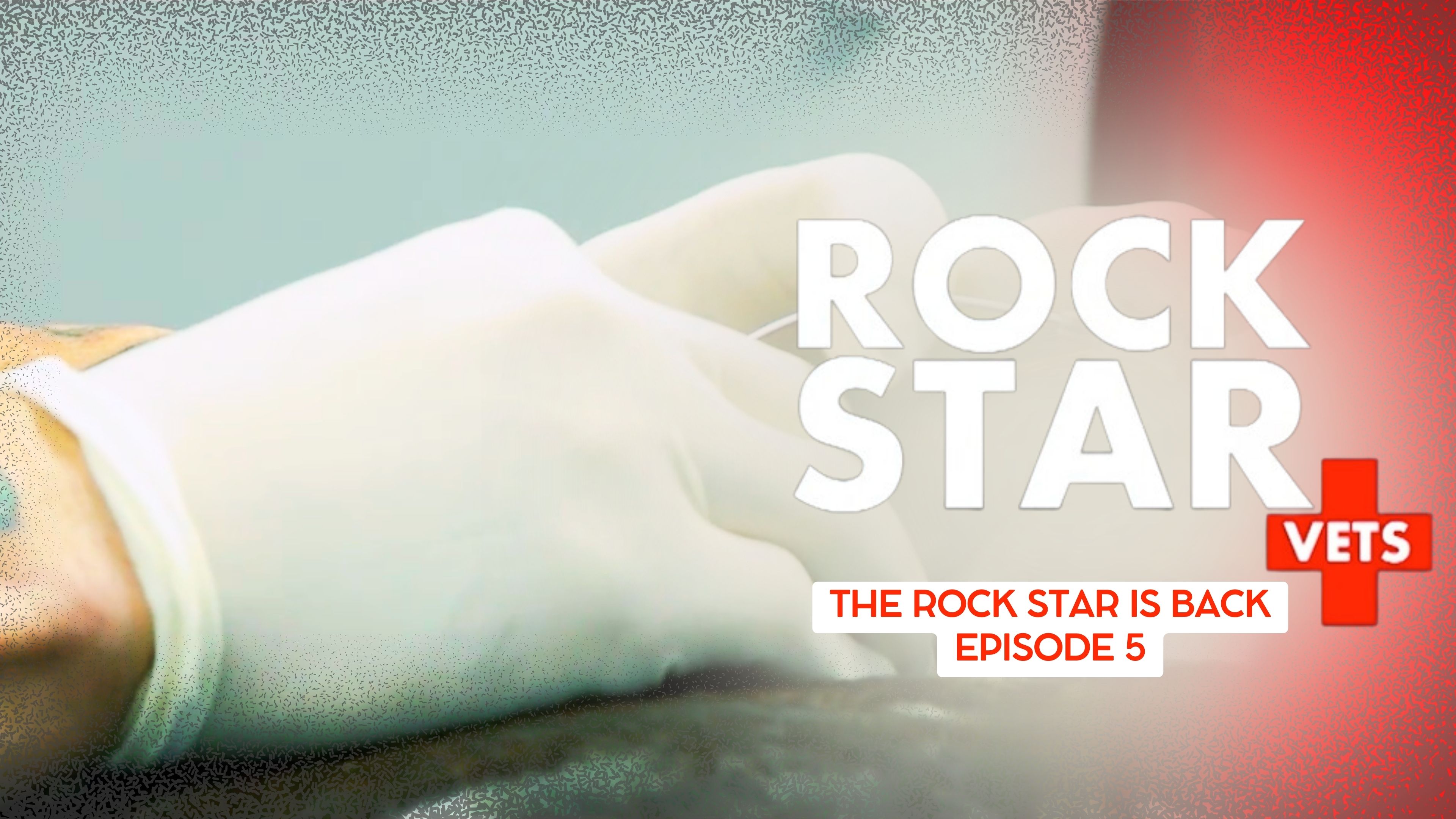 The Rock Star Is Back