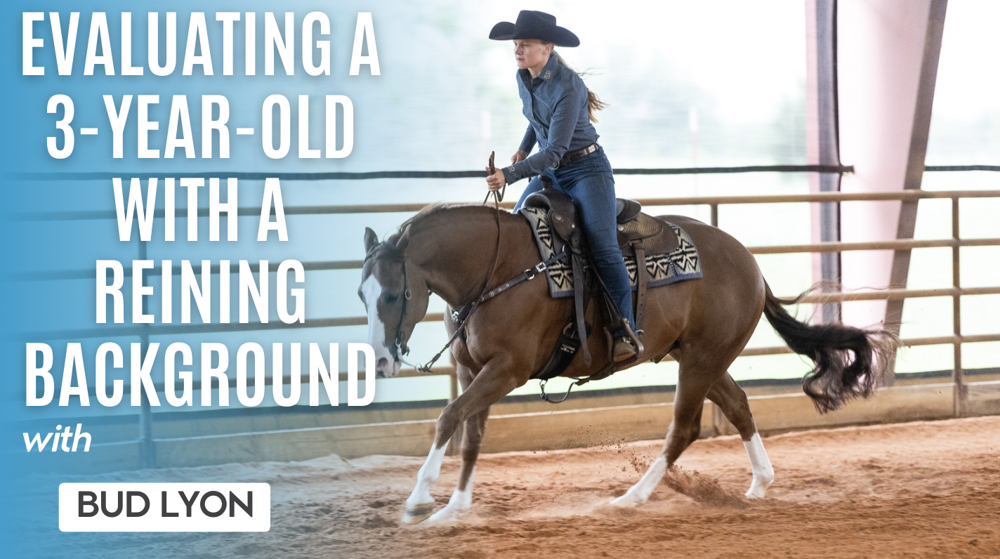 Bud Lyon: Evaluating a 3-Year-Old with a Reining Background