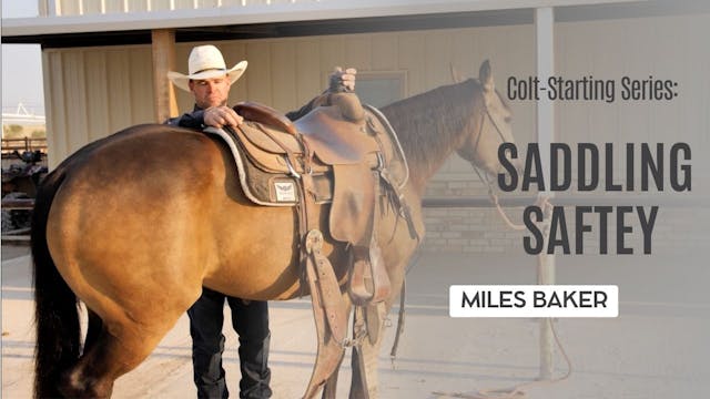 Colt-Starting Series: Saddling Safety