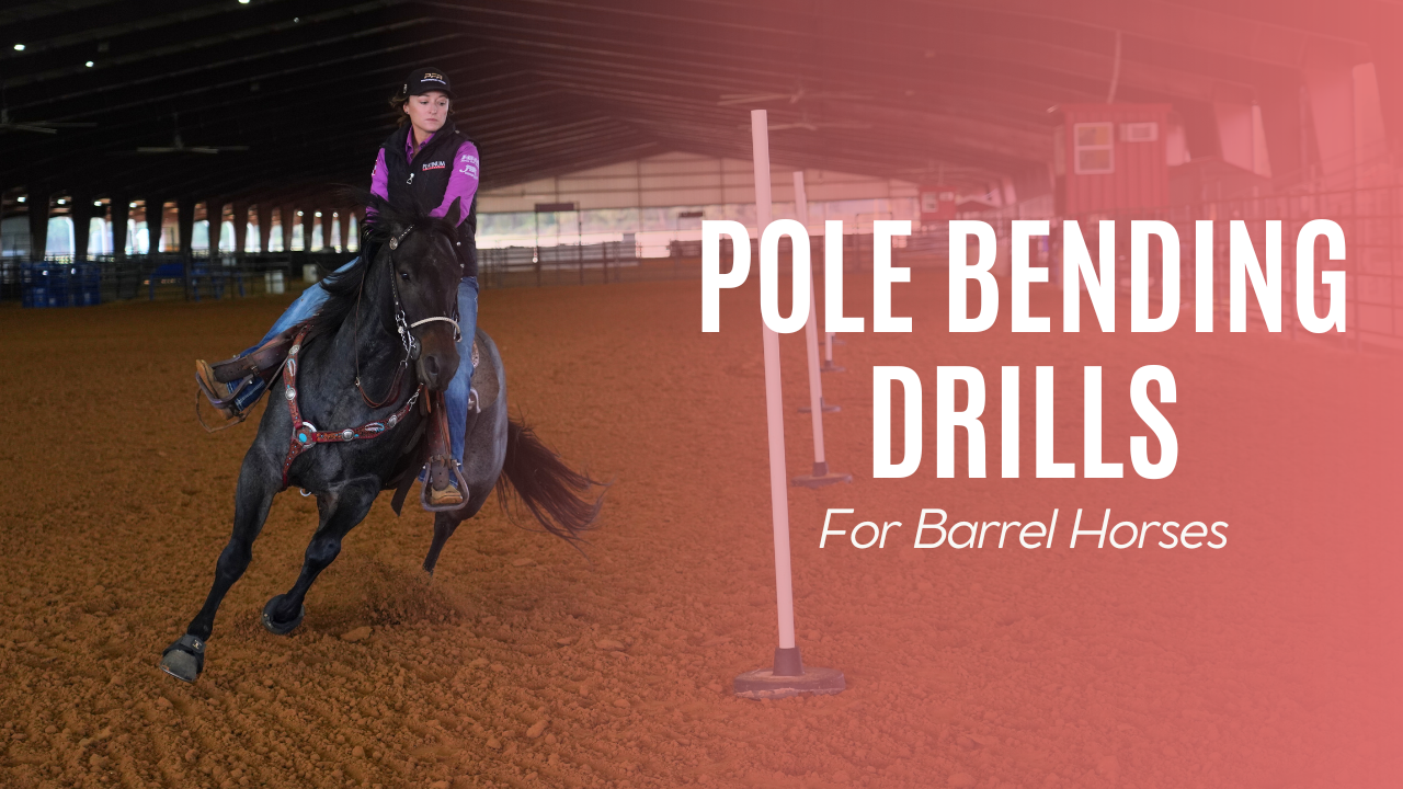 Pole Bending Drills