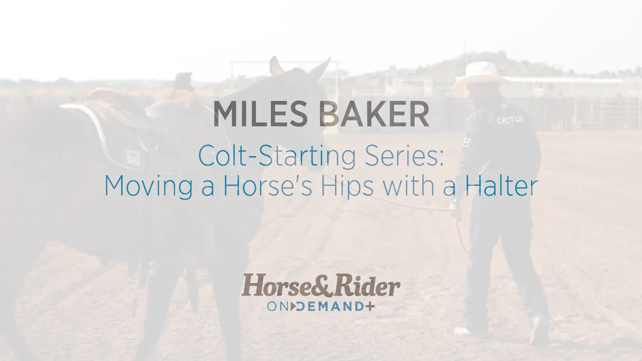 Colt-Starting Series: Moving a Horse's Hips with a Halter - RIDE TV