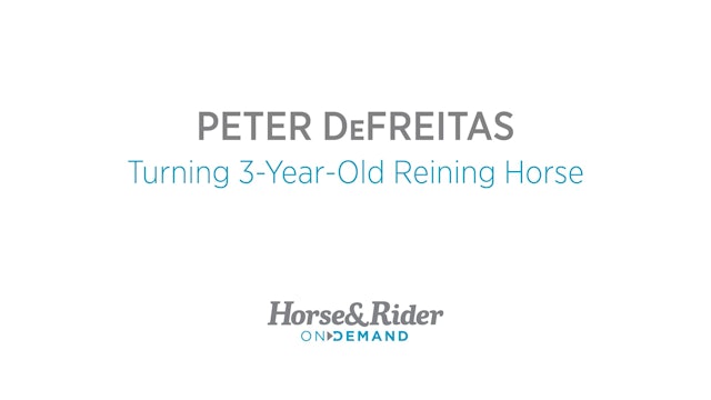 Turning 3-Year-Old Reining Horse