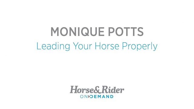 Avoid Pulling and Lead Your Horse Pro...