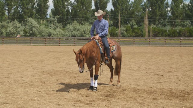 Working With a New Horse:Evaluating t...