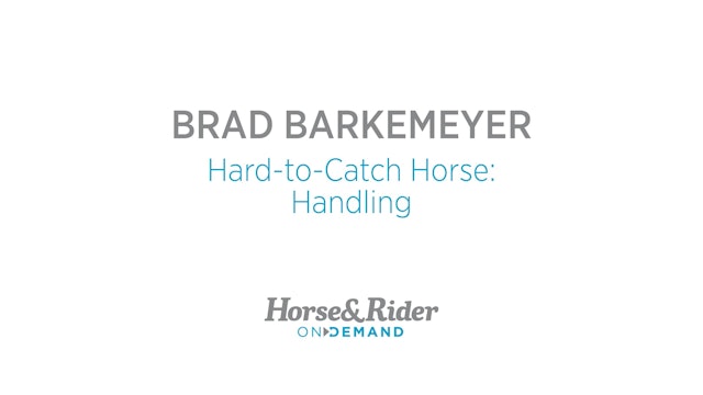 Handling a HardtoCatch Horse