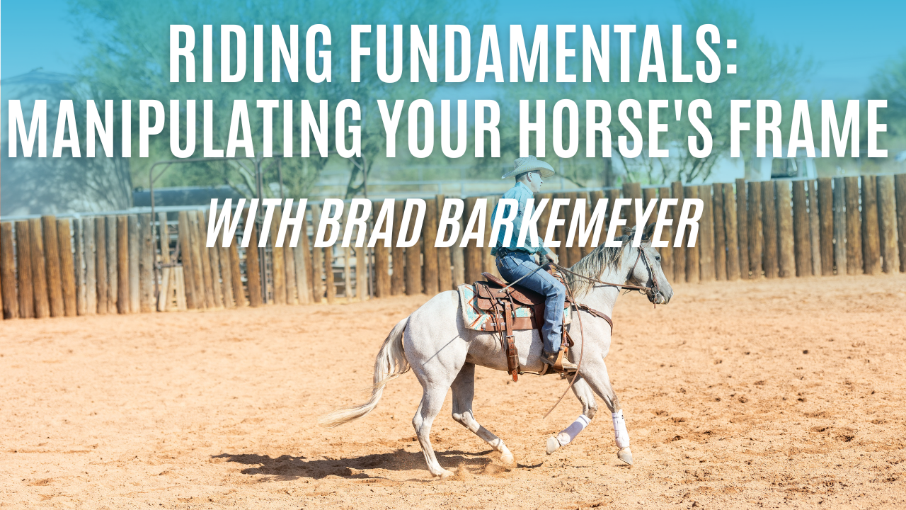 Riding Fundamentals: Manipulating Your Horse's Frame