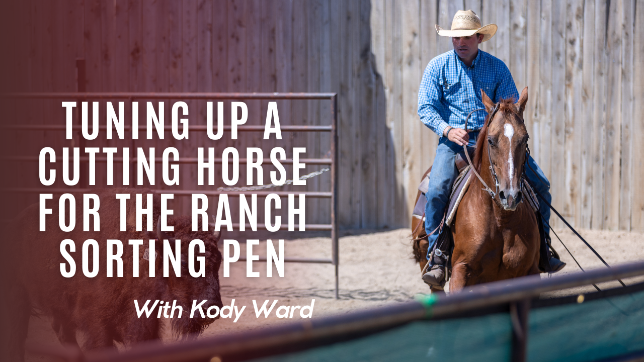 Tuning Up a Cutting Horse for the Ranch Sorting Pen