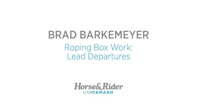 Rope Horse Work:Lead Departures