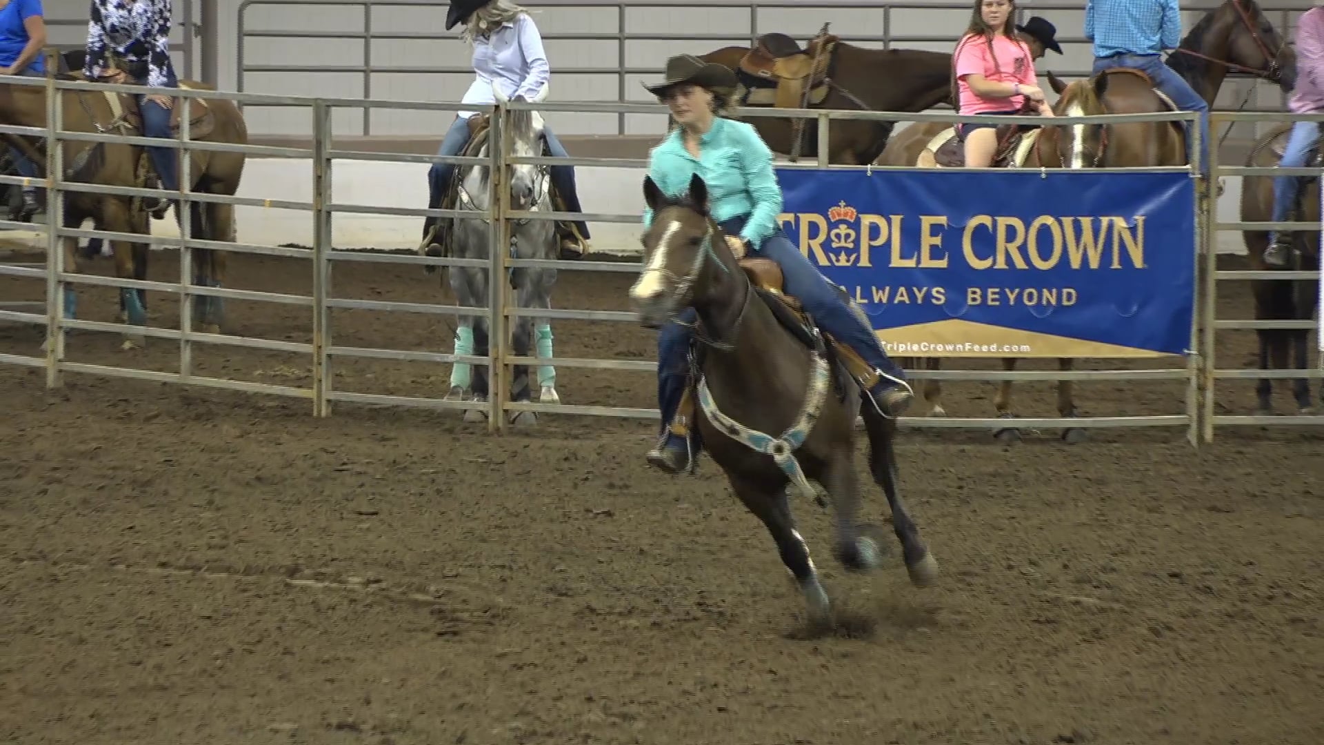 2019 NBHA GA Op1 #226-230