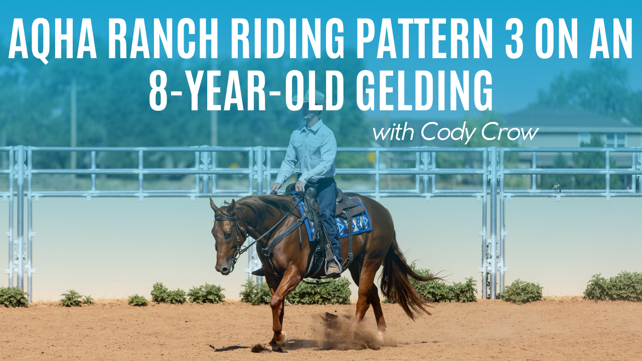Cody Crow: AQHA Ranch Riding Pattern 3 on an 8-Year-Old Gelding