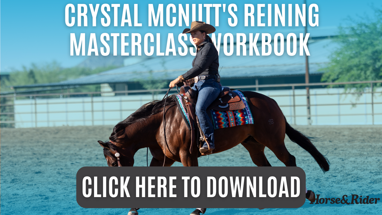 Crystal McNutt's Reining Masterclass Workbook 