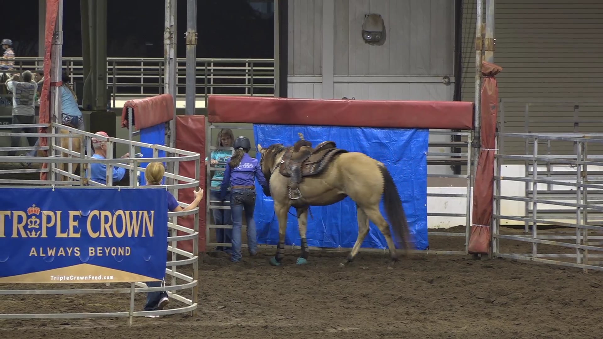 2019 NBHA GA Y1 #036-040