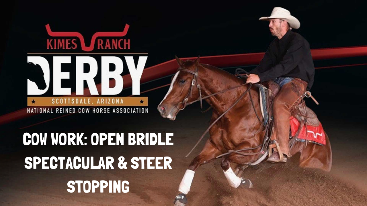 Cow Work: Open Bridle Spectacular & Steer Stopping | 2026 NRCHA Derby | Equidome