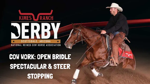 Cow Work: Open Bridle Spectacular & S...
