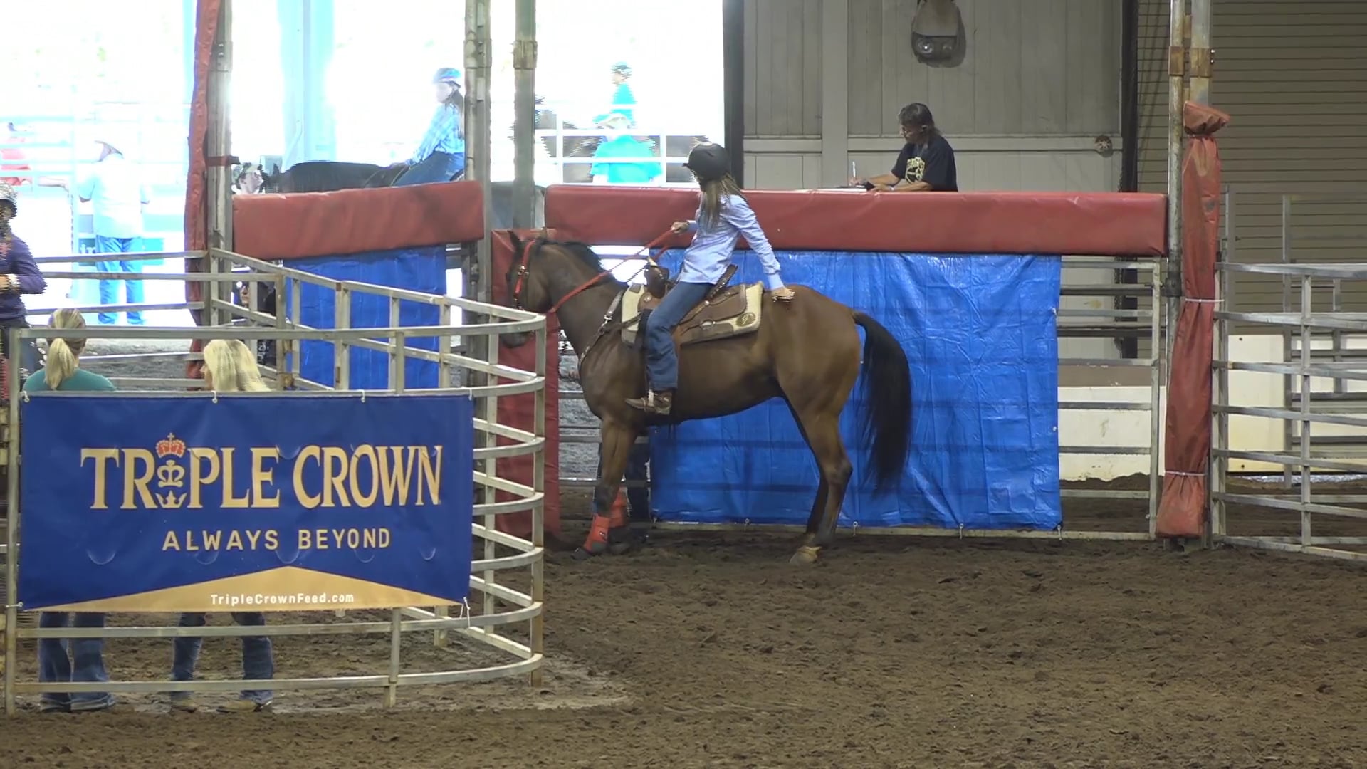 2019 NBHA GA Y1 #131-135