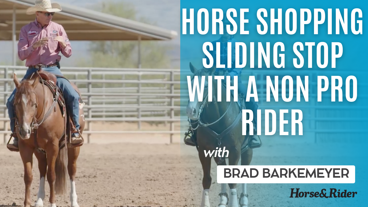 Horse Shopping: Testing a Sliding Stop with a Non Pro Rider