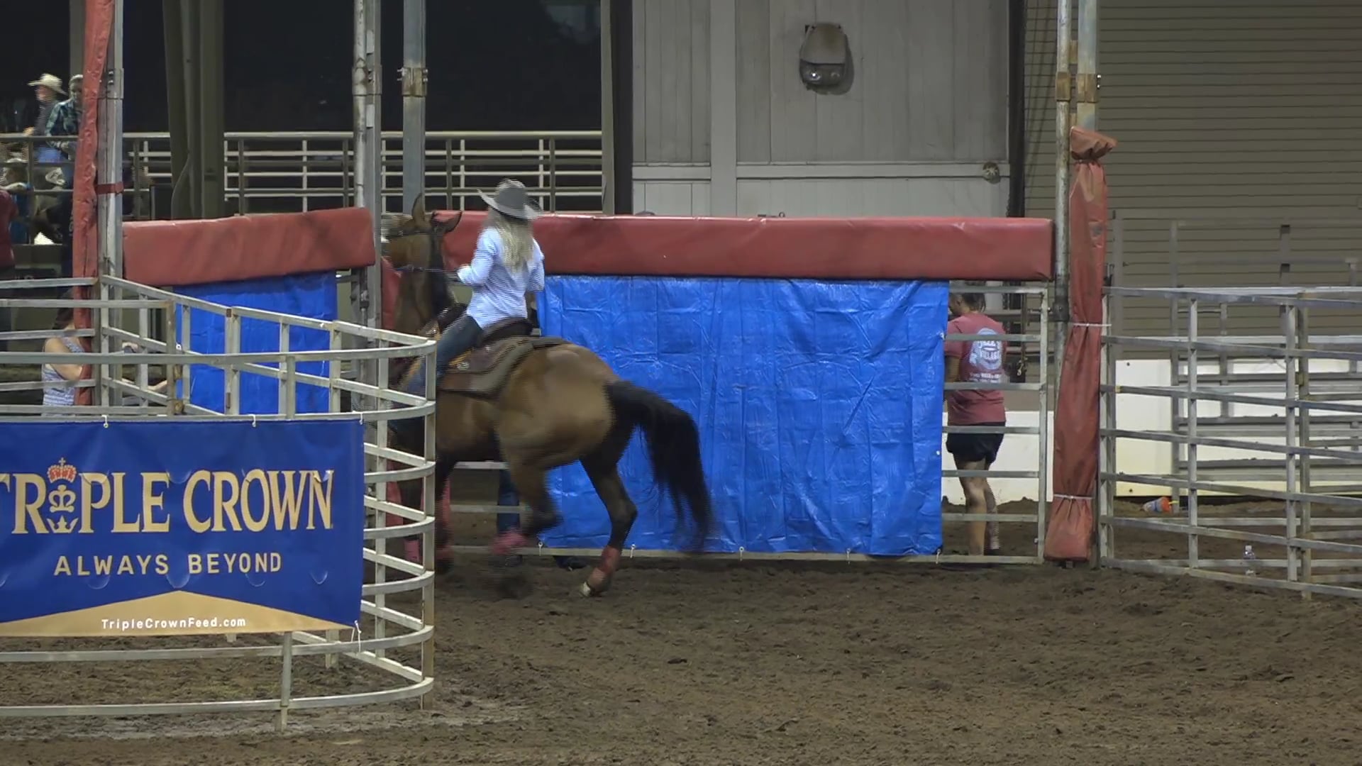 2019 NBHA GA Op2 #040-036