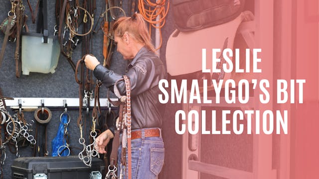 Leslie Smalygo's Barrel Bit Collection