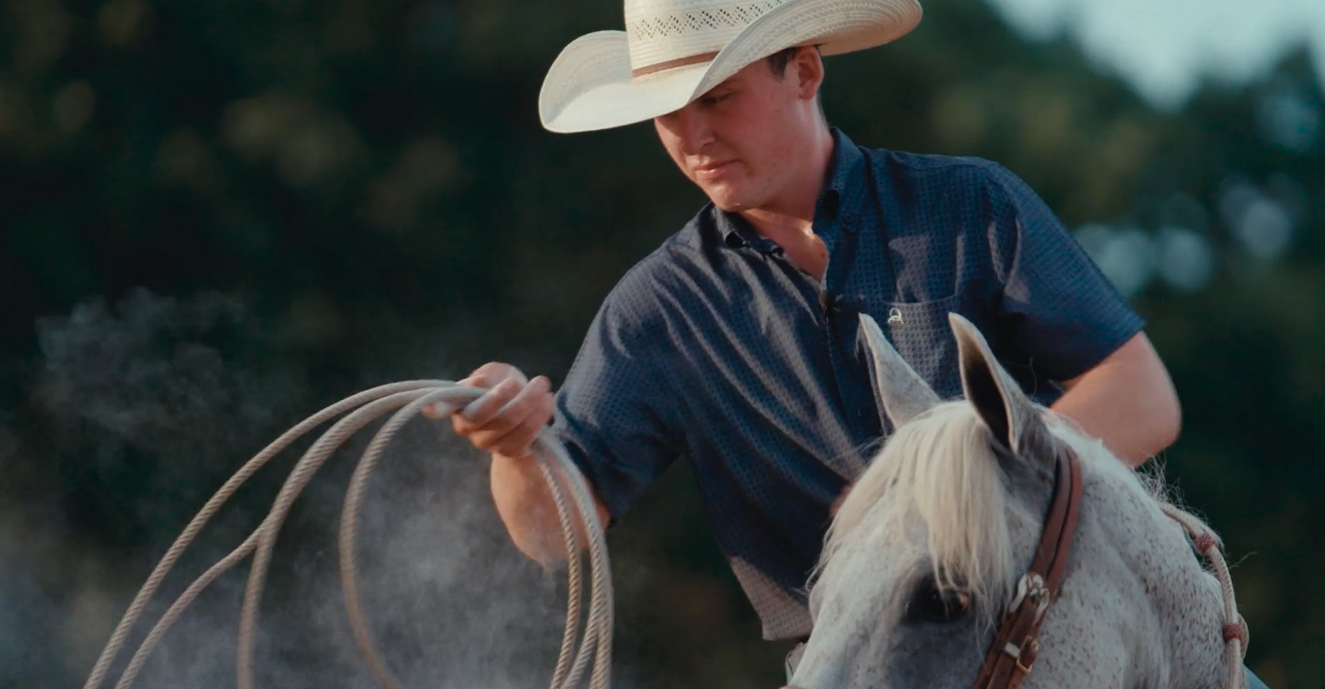 Webb of Success brought to you by ADM Animal Nutrition 