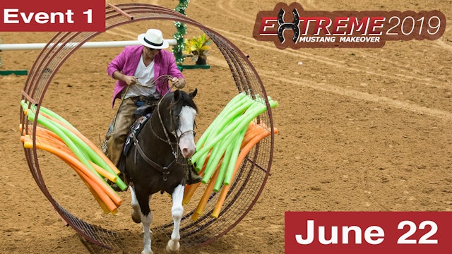 Extreme Mustang Makeover: Youth Awards