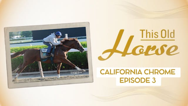 California Chrome