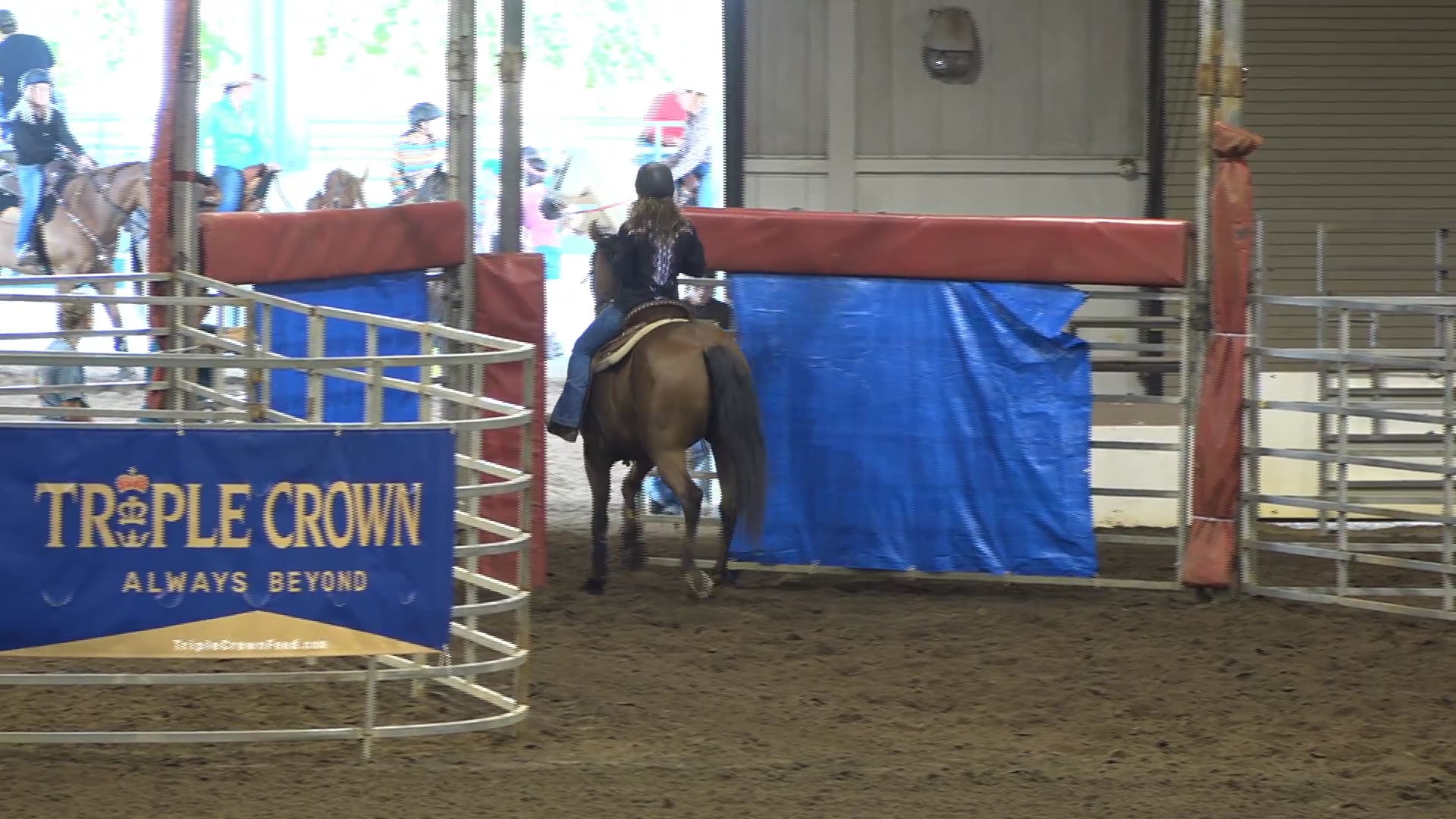 2019 NBHA GA Op1 #291-295