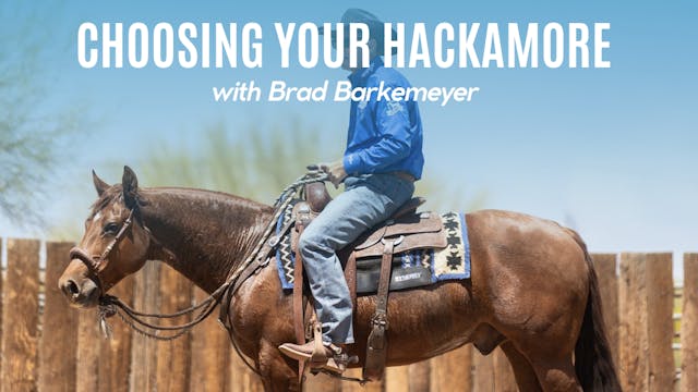 Choosing Your Hackamore