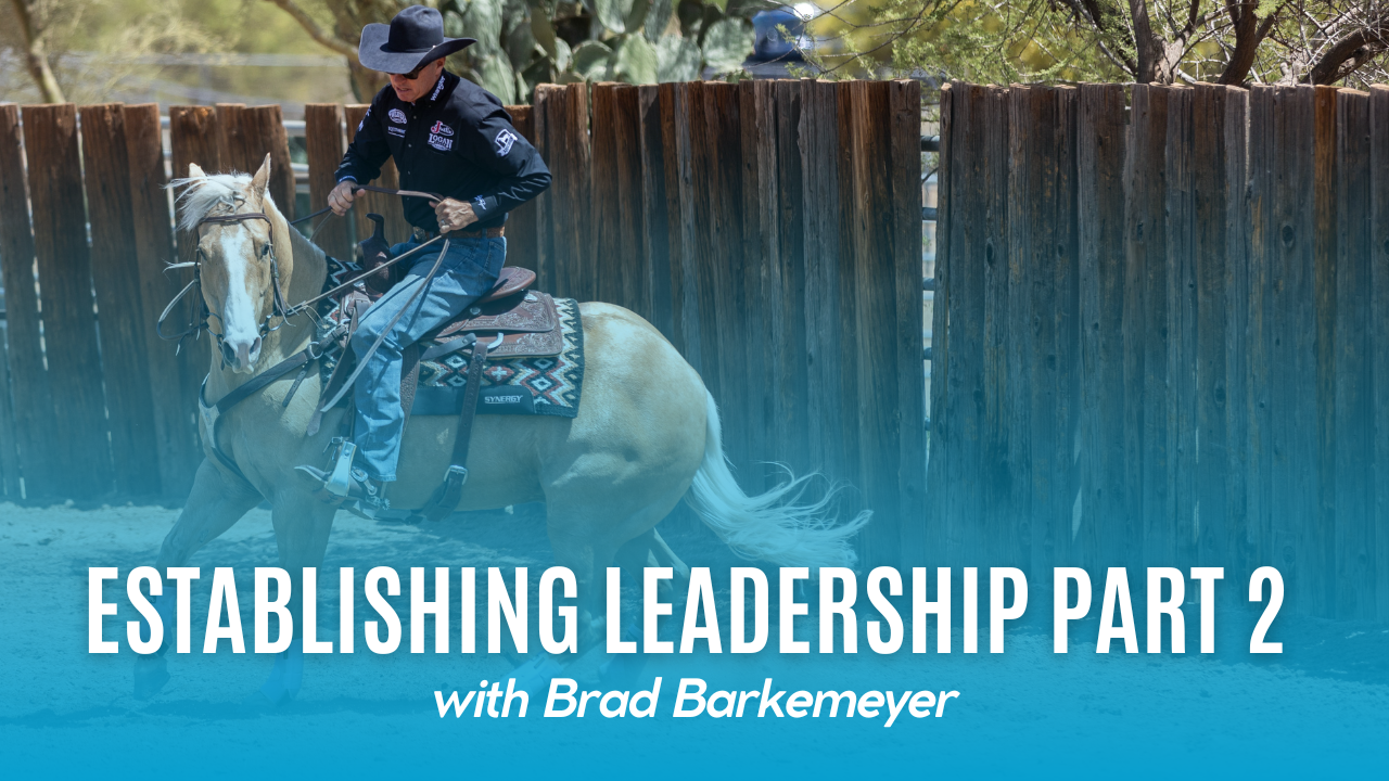 Establishing Leadership Part 2