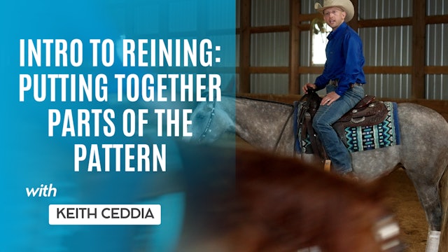 Intro to Reining: Putting Together Parts of the Pattern