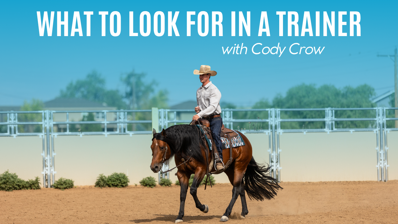 Cody Crow on What to Look for in a Trainer