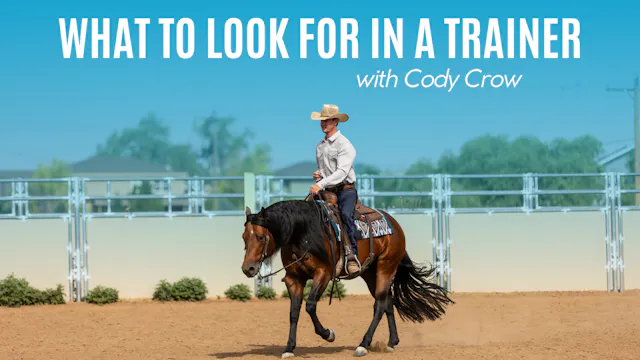 Cody Crow on What to Look for in a Tr...