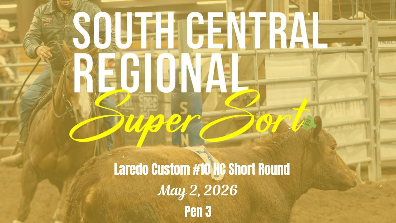 Laredo #10 Short Round | Cinch RSNC South Central Regional | Pen 3 | 5/2/26