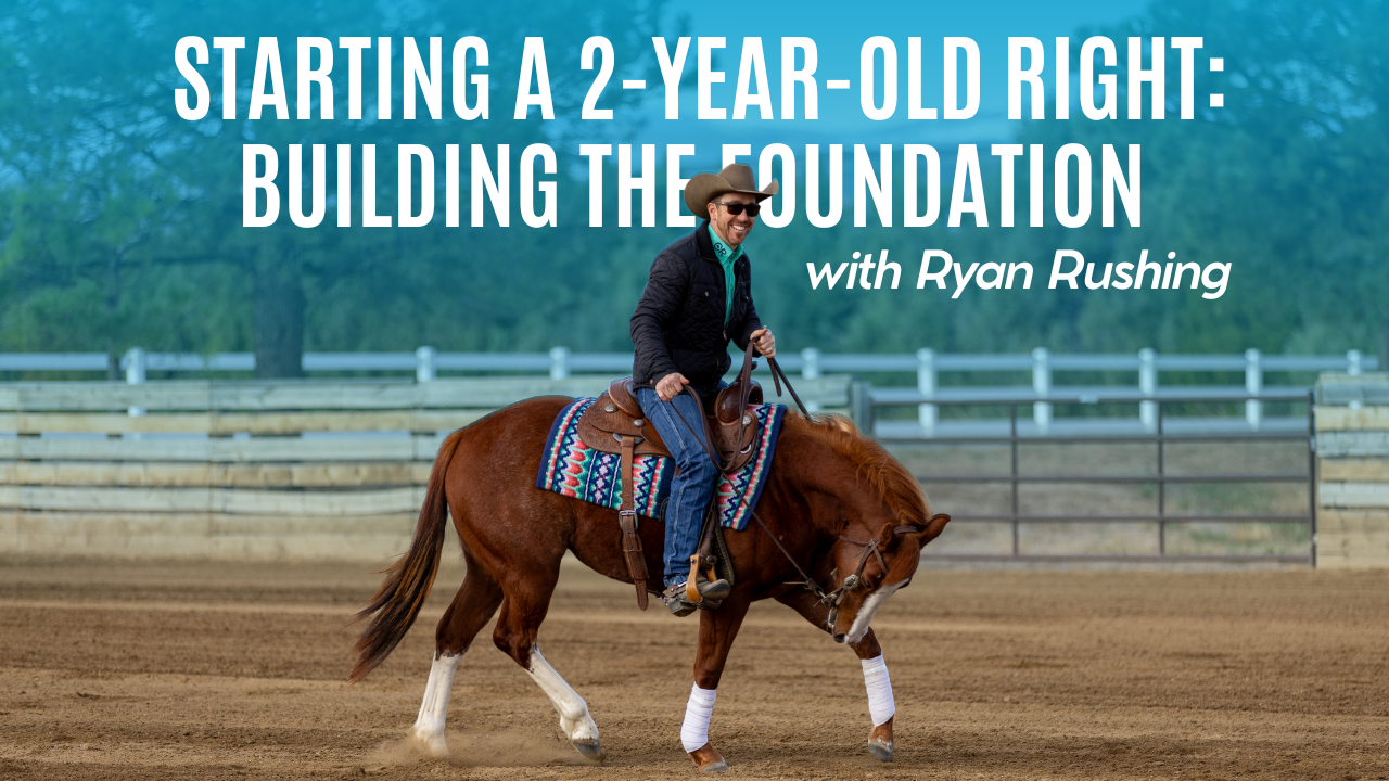 Starting a 2-Year-Old Right: Building the Foundation with Ryan Rushing
