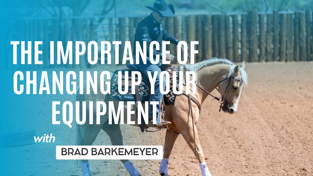 The Importance of Changing Up Your Eq...