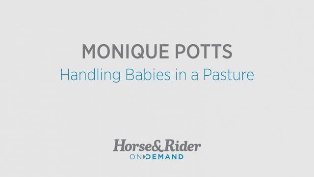 Handling Babies in a Pasture