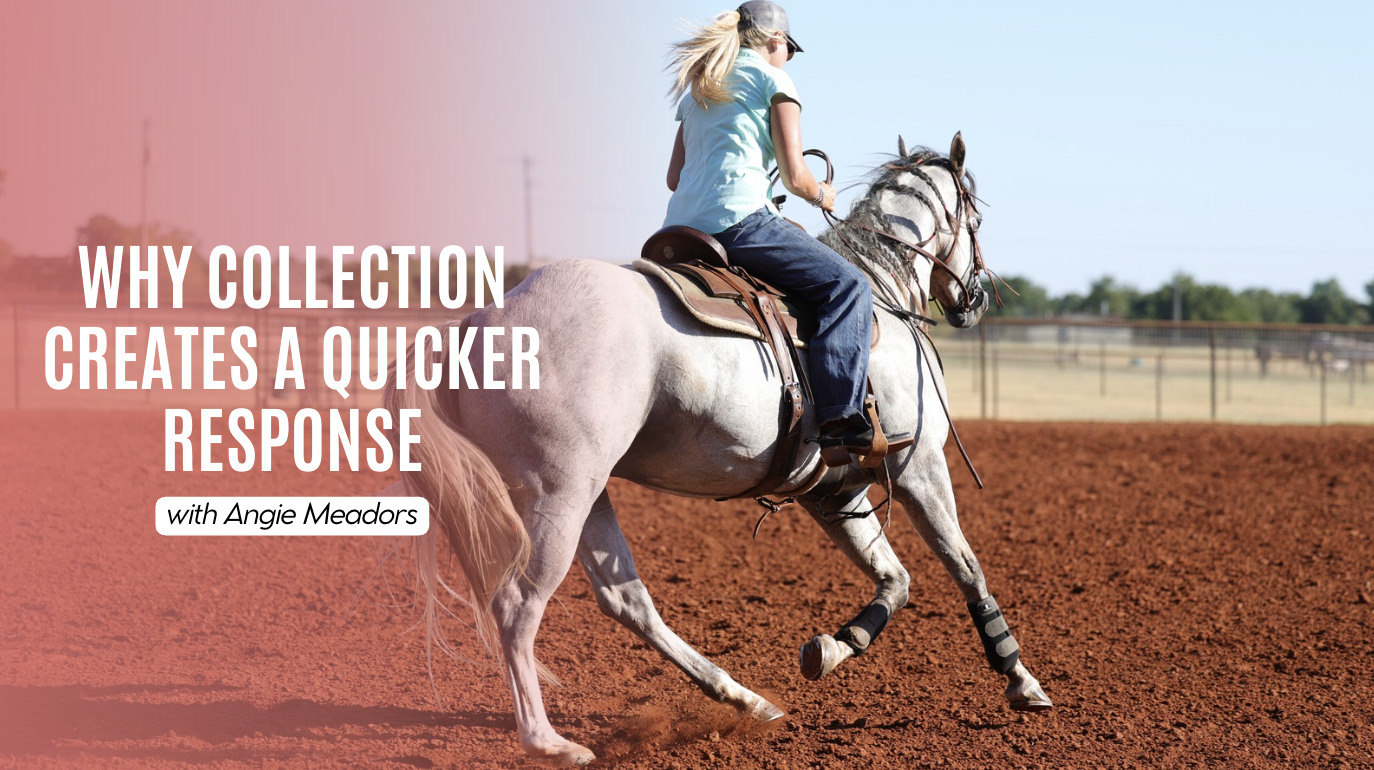 Angie Meadors: Why Collection Creates a Quicker Response