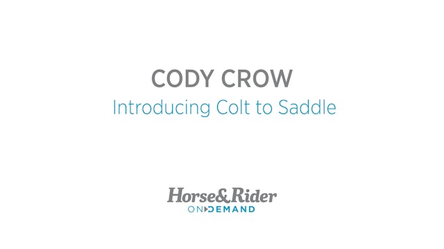 Introducing Colt to Saddle
