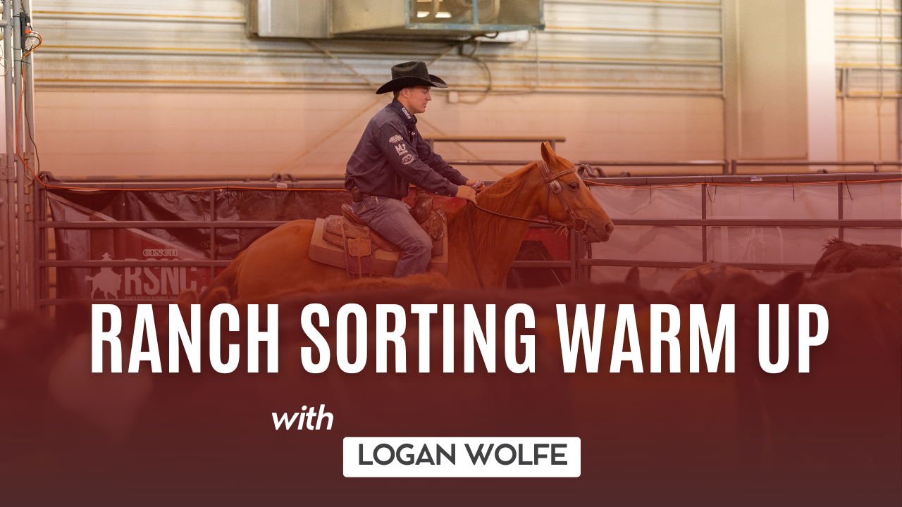 Ranch Sorting Warm Up