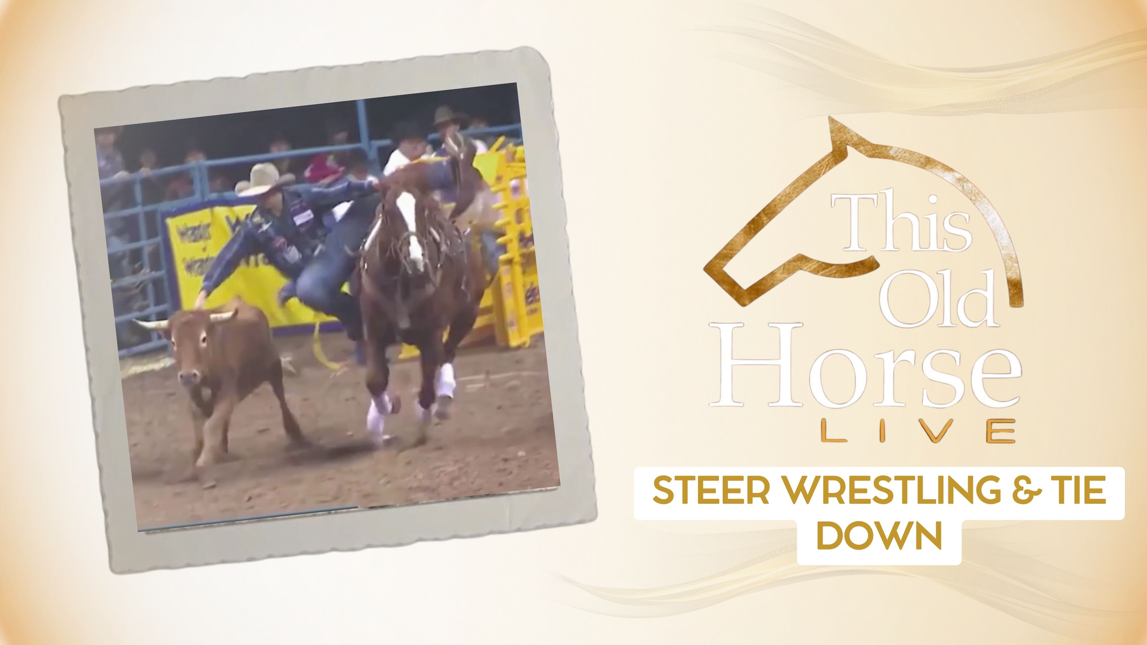 Steer Wrestling & Tie Down