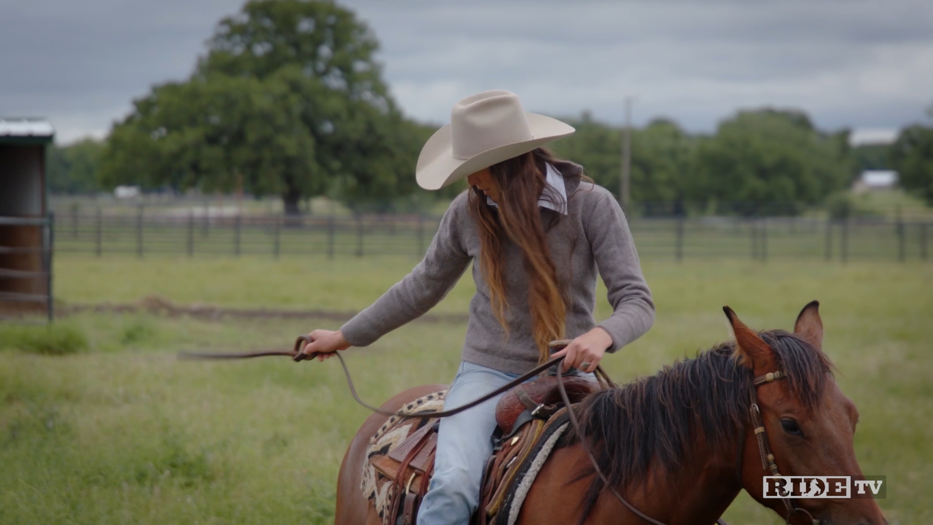 Horsemanship with Sarah Brown: Horses Won't Go