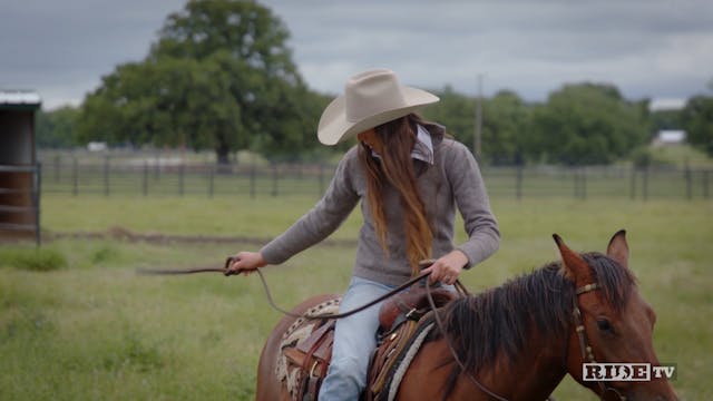 Horsemanship with Sarah Brown: Horses...